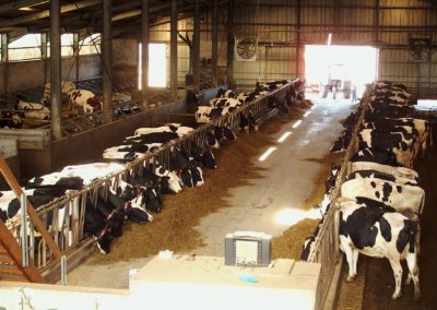 Ferme bovine à Jalavoux Haute Loire (43)